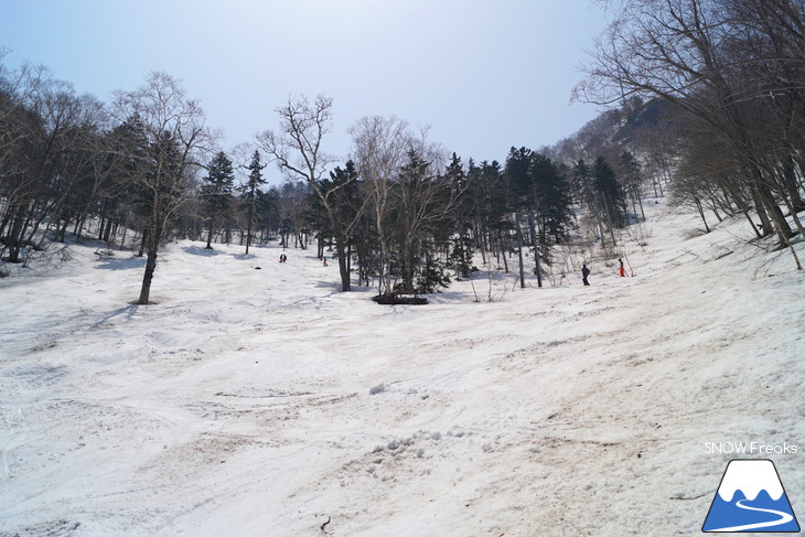 サッポロテイネ 現在積雪 215cm。山麓まで思いっきり滑れます！